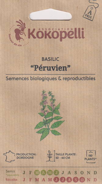 Albahaca amazónica "Peruvien" (Albahaca silvestre o peruana)